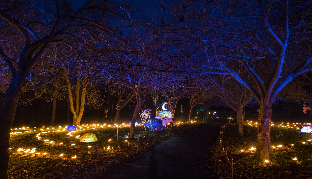 Enchanted City